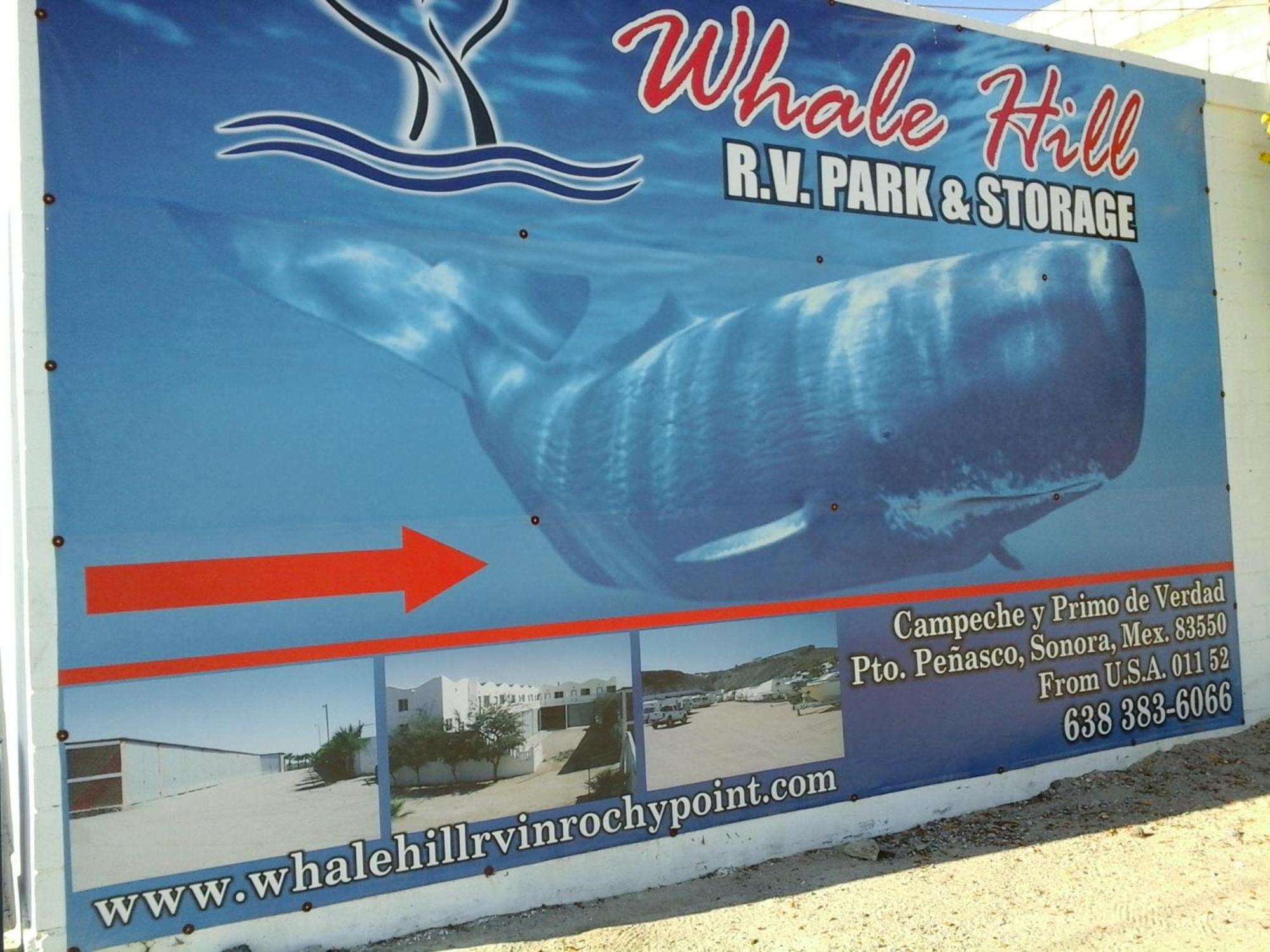 Puerto Peñasco Whale Hillアパートホテル 部屋 写真